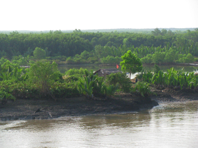 Mekong River Delta