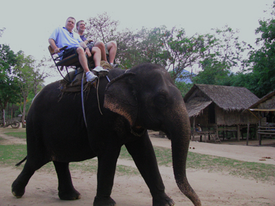 Riding Elephants