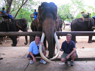 Photo Op With Elephant