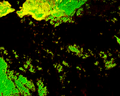 satellite image of Halong bay