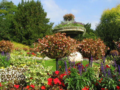 Flower garden Bath England