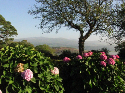 Portmeirion Wales
