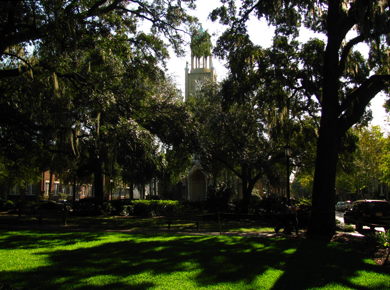Savannah