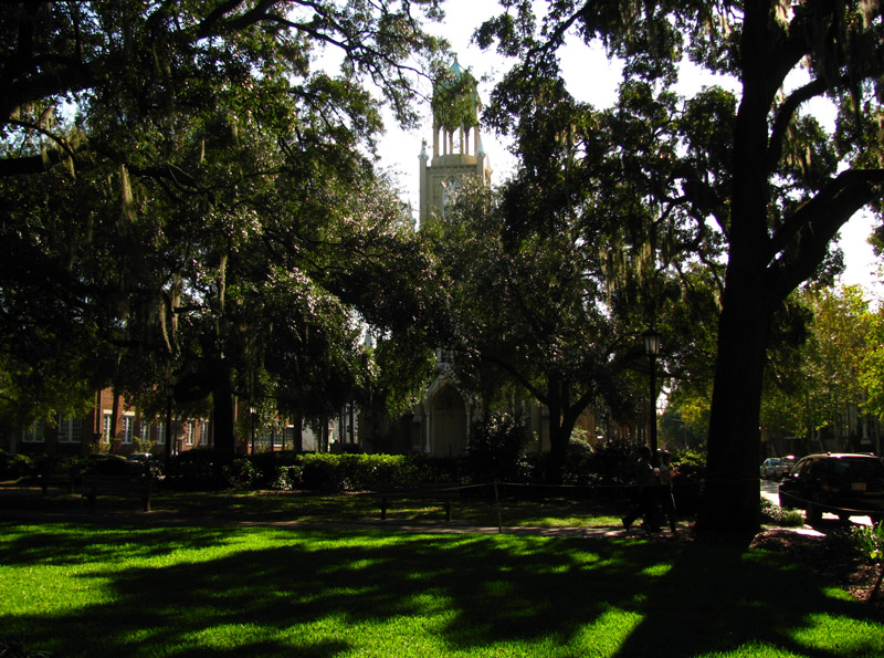 Savannah