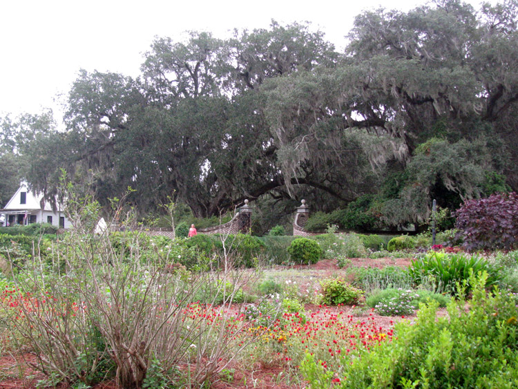 Boone Hall Plantation