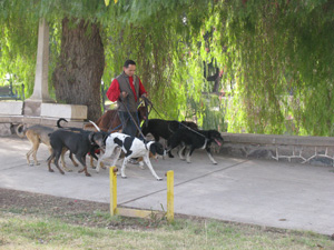 Mendoza Argentina