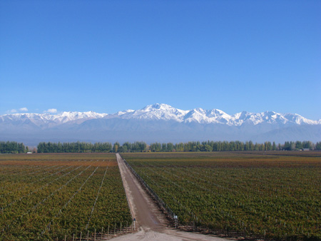 Andes Mountains, Mendoza Argentina