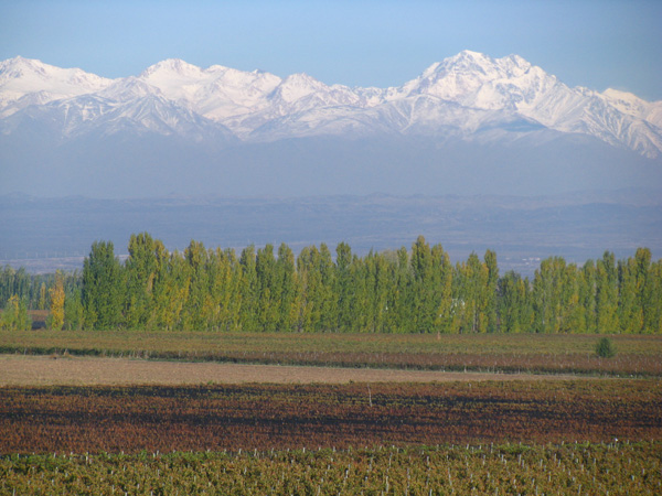 Andes Mountains, Mendoza Argentina