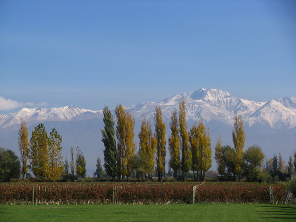 Mendoza Argentina