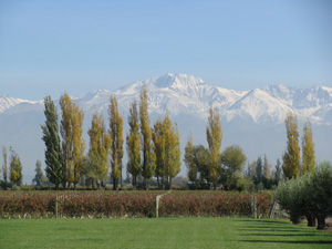 Mendoza Argentina