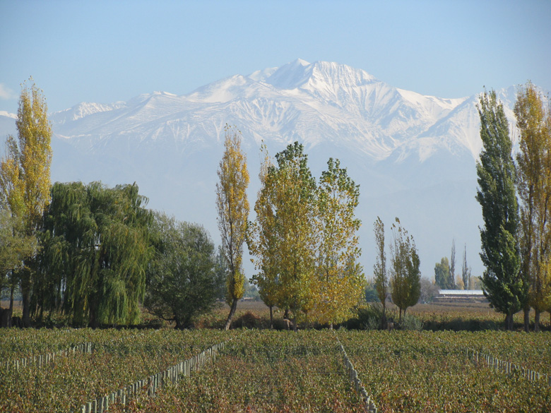 Mendoza Argentina