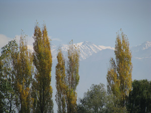 Mendoza Argentina