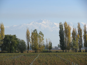 Mendoza Argentina