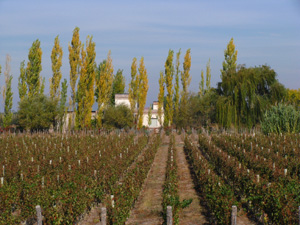 Mendoza Argentina