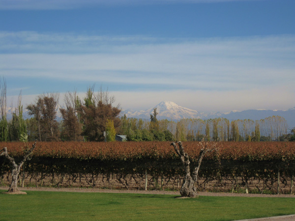 Mendoza Argentina