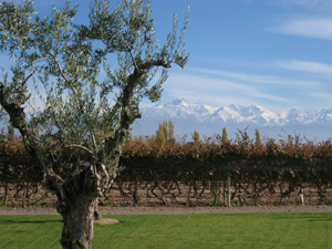 Andes Mountains, Mendoza Argentina