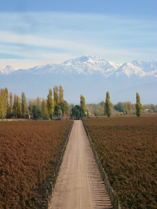 Mendoza Argentina