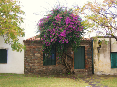 Colonia, Uruguay