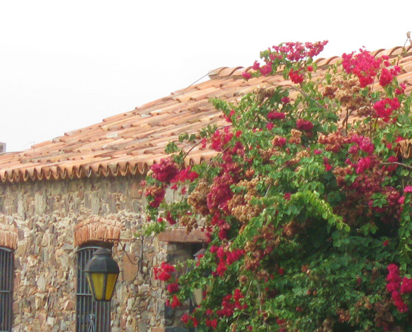 Colonia, Uruguay