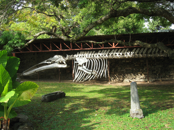 Colonia, Uruguay