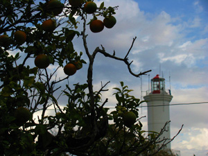 Colonia, Uruguay