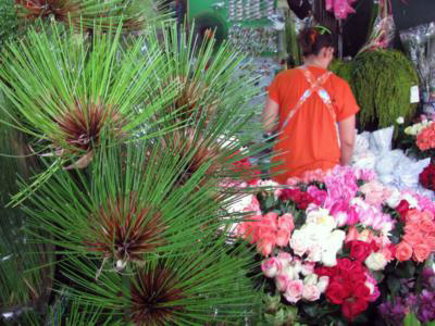 Bangkok Flower Market