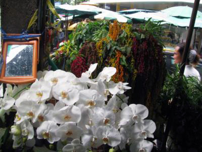 Bangkok Flower Market