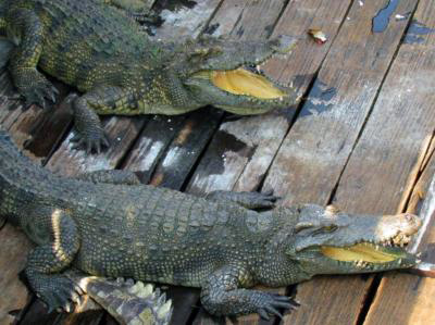 Tonle Sap Cambodia