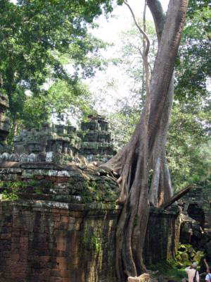 Ta Prohm