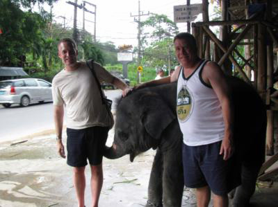 Phuket Elephant Ride