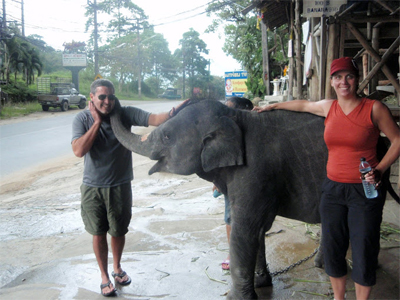 Phuket Elephant Ride