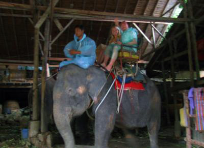 Phuket Elephant Ride