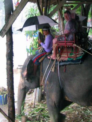 Phuket Elephant Ride